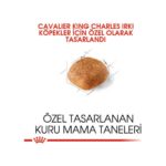 Royal Canin Cavalier King Charles Kuru Köpek Maması 3kg - Görsel 3