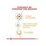 Royal Canin Chihuahua Kuru Köpek Maması 1.5kg - Görsel 4