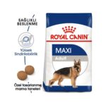 Royal Canin Maxi Adult Büyük Irklar Için Yetişkin Kuru Köpek Maması 15 Kg - Görsel 2
