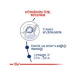 Royal Canin Maxi Adult Büyük Irklar Için Yetişkin Kuru Köpek Maması 15 Kg - Görsel 3