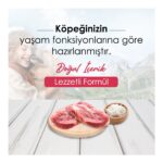 Dog Plus Düşük Tahıllı Hipoalerjenik Kuzu Etli Pirinçli Yetişkin Köpek Maması 15 kg - Görsel 2