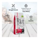 Dog Plus Düşük Tahıllı Hipoalerjenik Kuzu Etli Pirinçli Yetişkin Köpek Maması 15 kg - Görsel 4