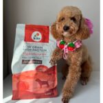 Kito Doğal Besi Kuzu Etli Yetişkin Mini Irk Köpek Maması 2.5 kg - Görsel 2