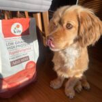 Kito Doğal Besi Kuzu Etli Yetişkin Mini Irk Köpek Maması 2.5 kg - Görsel 4