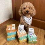 Kito Fresh Köpekler için Tanışma Paketi - Görsel 3