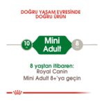 Royal Canin Mını Adult Küçük Irklar Için Kuru Köpek Maması 8kg - Görsel 3