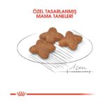 Royal Canin Mını Adult Küçük Irklar Için Kuru Köpek Maması 8kg - Görsel 4