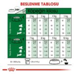 Royal Canin Mını Adult Küçük Irklar Için Kuru Köpek Maması 8kg - Görsel 5
