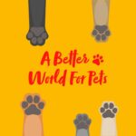 Pedigree Tavuklu 400 gr 24X - Görsel 5