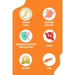 Petline Natural Premium Salmon Somonlu Yetişkin Köpek Maması 3 kg - Görsel 4