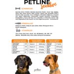 Petline Natural Premium Salmon Somonlu Yetişkin Köpek Maması 3 kg - Görsel 5