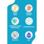 Petline Somonlu Yavru Köpek Maması 6kg (2 x 3kg) - Pretty - Görsel 3