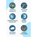 Carnaval Premium Kuzu Etli ve Pirinçli Yavru Köpek Maması 15 kg - Görsel 5