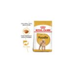 Royal Canin Poodle Yetişkin Kuru Köpek Maması 3kg