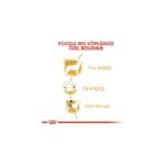 Royal Canin Poodle Yetişkin Kuru Köpek Maması 3kg - Görsel 4