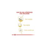 Royal Canin Shih Tzu Adult Yetişkin Köpek Maması 1,5 Kg - Görsel 4