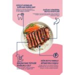 PAWPAL Kuzu Etli Süper Premium Yetişkin Köpek Maması 12 kg - Düşük Tahıllı - Görsel 3