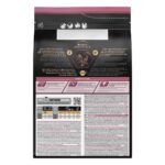 Pro Plan Small & Mini Puppy Somonlu Küçük Irk Yavru Köpek Maması 3 Kg Besleyici Formül - Görsel 2