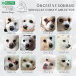 Natures Protection Nature's Protection Superior Care Beyaz Tüylü Köpekler için Kuzulu Küçük Irk Köpek Maması 1,5kg - Görsel 3