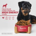 BonaCibo Adult Dog Yüksek Enerjili  Yetişkin Köpek Maması, 15 Kg, Tüm Irklar Için, Doğal, Şekersiz - Görsel 3