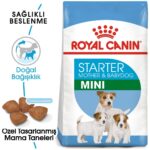 Royal Canin Mini Starter Küçük Irk Anne ve Yavru Köpek Maması 4 Kg