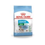 Royal Canin Mini Starter Küçük Irk Anne ve Yavru Köpek Maması 4 Kg - Görsel 2