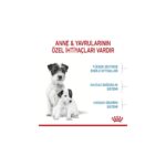 Royal Canin Mini Starter Küçük Irk Anne ve Yavru Köpek Maması 4 Kg - Görsel 4