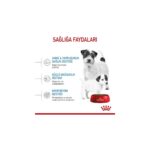 Royal Canin Mini Starter Küçük Irk Anne ve Yavru Köpek Maması 4 Kg - Görsel 5