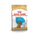 Royal Canin Poodle Yavru Köpek Maması 3kg - Görsel 2