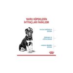 Royal Canin Büyük Irklar Için Yavru Kuru Köpek Maması 15kg - Görsel 4