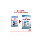 Royal Canin Büyük Irklar Için Yavru Kuru Köpek Maması 15kg - Görsel 5