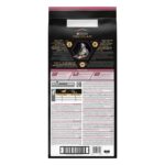 Pro Plan ProPlan Somonlu Hassas Yaşlı Kuru Köpek Maması 14 Kg - Görsel 4