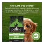 Petline Mini ve Küçük Irklar Için Kuzu Etli Yavru Köpek Maması Başlangıç 6kg (2X3KG) - Starter