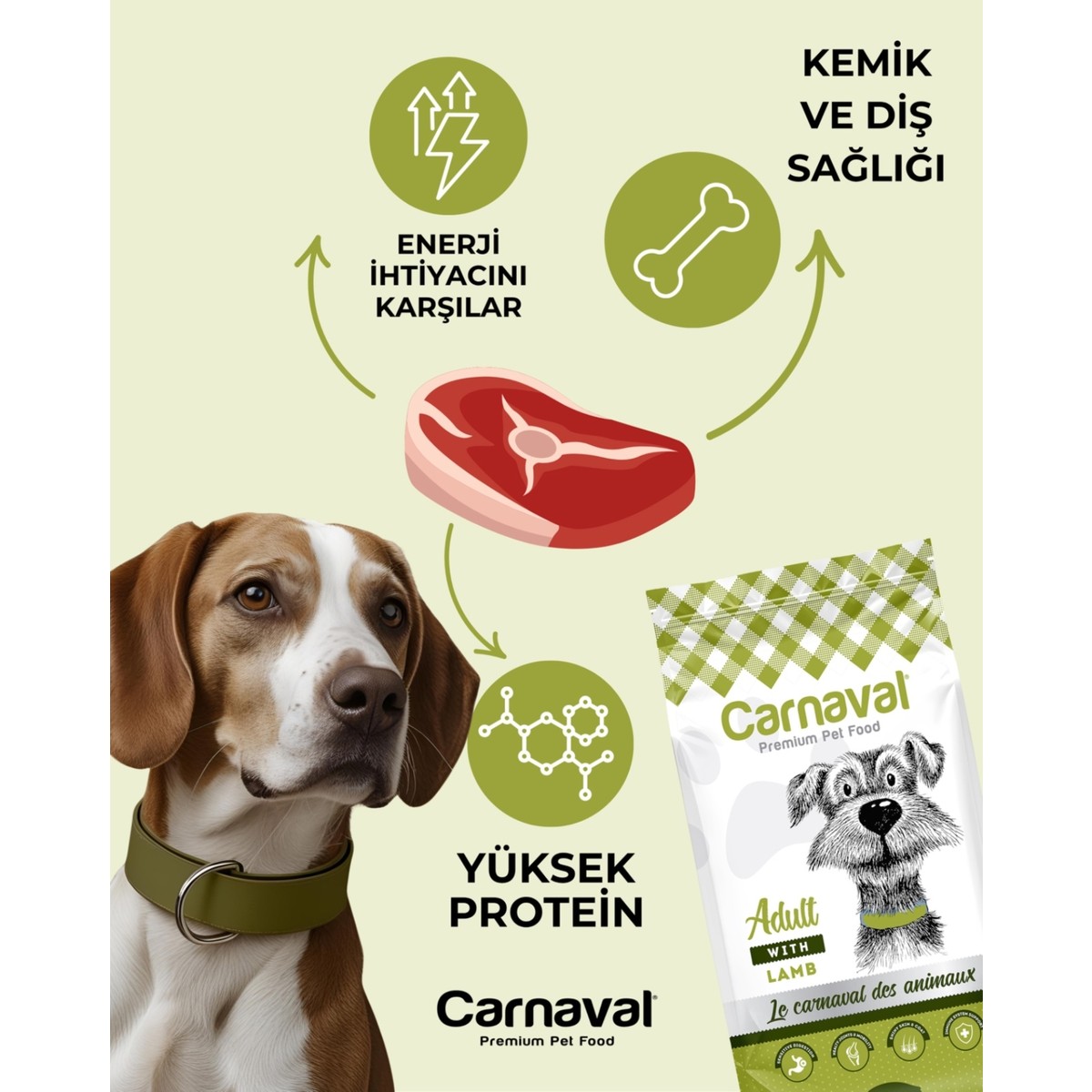 110001168378837.jpg Carnaval Kuzu Etli Yetişkin Köpek Maması 6kg (2X3kg) - Görsel 1