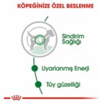 Royal Canin Küçük Irklar için Yetişkin Yaş Köpek Maması 12 x 85g - Görsel 4