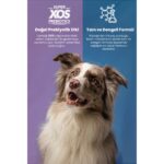 Reflex Plus Somonlu Küçük Irk Yetişkin Köpek Maması 8 Kg Yüksek Proteinli Besleyici Formül - Görsel 2