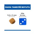 Hill's Advanced Fitness Kuzulu ve Pirinçli Orta Irk Yetişkin Köpek Maması 14 kg - Görsel 5