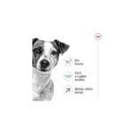 Royal Canin Mını Adult 8 Yaş Ve Üzeri Küçük Irklar Için Kuru Köpek Maması 2kg - Görsel 4