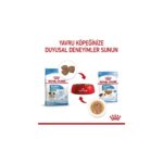 Royal Canin Küçük Irklar için Yavru Yaş Köpek Maması 12 x 85g - Görsel 5