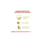 Royal Canin Golden Retriever Yetişkin Kuru Köpek Maması 12kg - Görsel 4