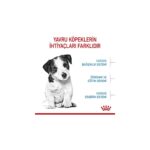 Royal Canin Küçük Irklar Için Yavru Kuru Köpek Maması 2kg - Görsel 3