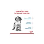 Royal Canin Orta Irklar Için Yavru Kuru Köpek Maması 15kg - Görsel 4
