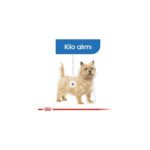 Royal Canin Mini Lightweight Kuru Köpek Maması 3kg - Görsel 5
