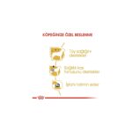 Royal Canin Poodle Yaş Köpek Maması 12 x 85g - Görsel 3