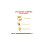 Royal Canin Yorkshire Terrier Yaş Köpek Maması 12 x 85g - Görsel 3