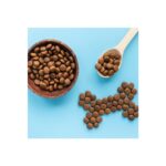 Wise Dog Lamb Rice Kuzu Etli Yetişkin Köpek Maması 1 Kğ